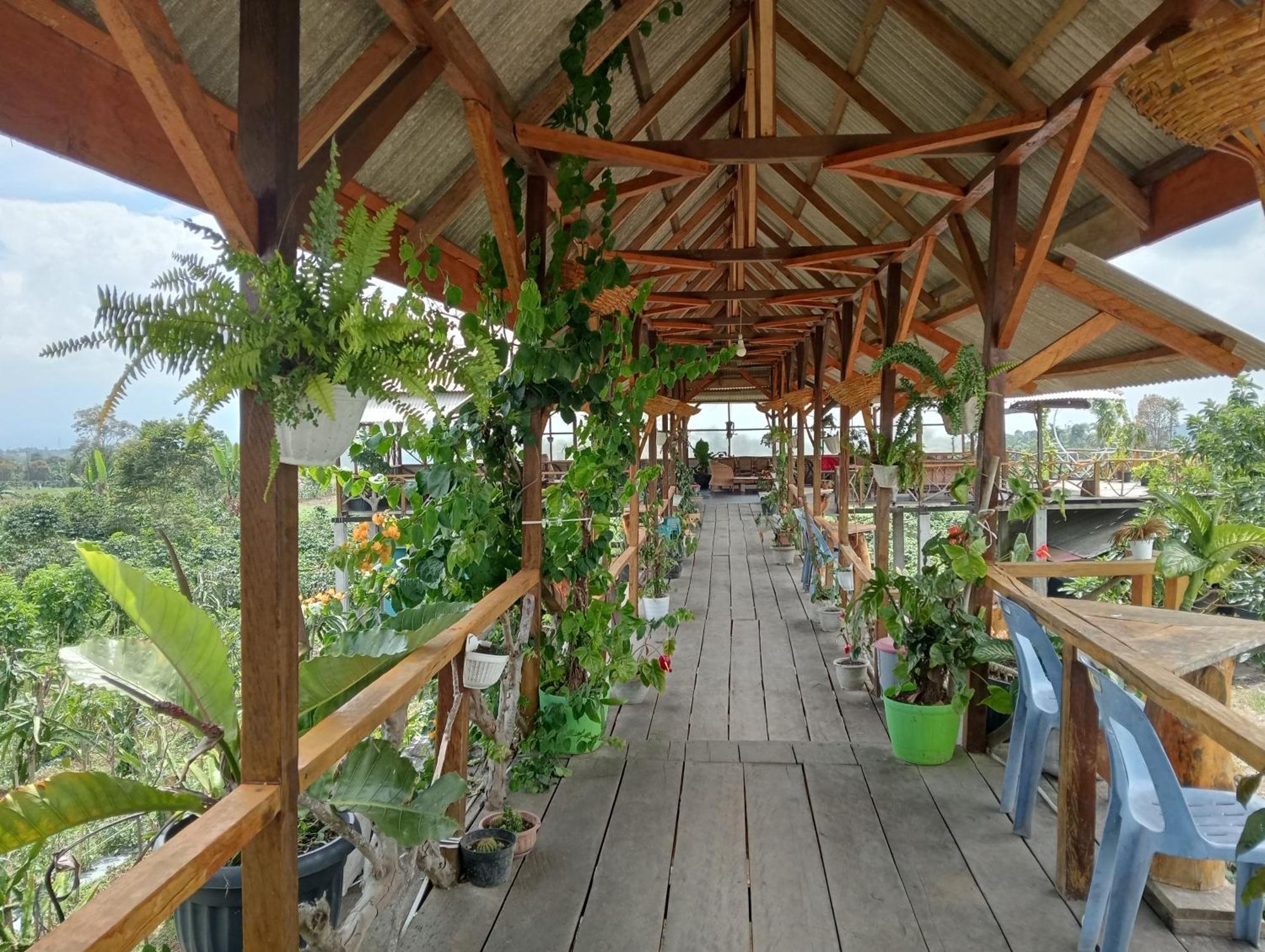 Vulkaan Homestay Берастаги Экстерьер фото