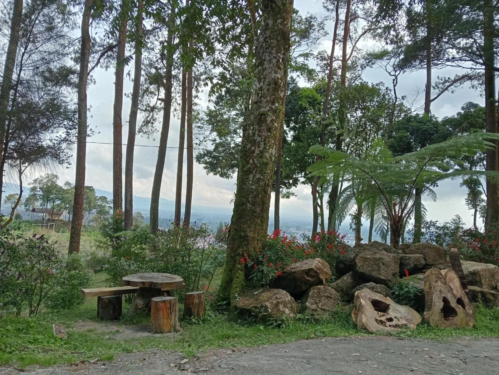 Vulkaan Homestay Берастаги Экстерьер фото