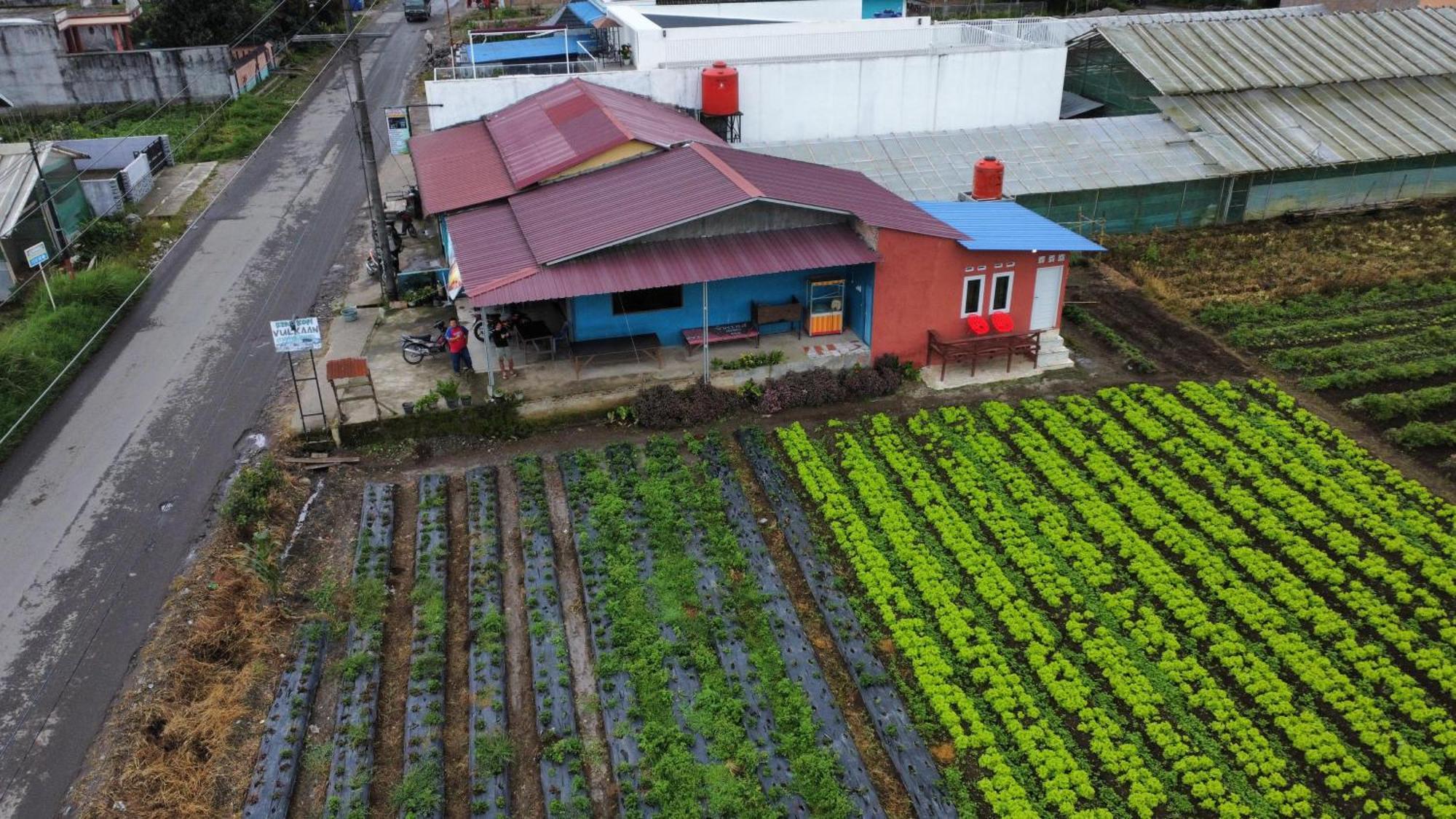 Vulkaan Homestay Берастаги Экстерьер фото